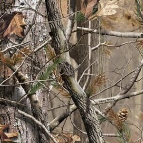 Meet your Posher, Ethan - Picture 1 of 1